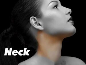 NECK COURSE OPTION 1/2  [Creams]